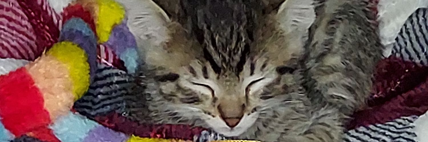 Melanie Luther banner