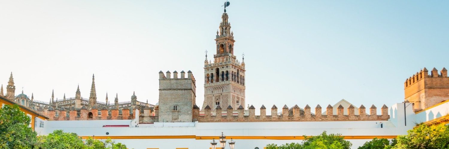DavidOliMar's profile banner image