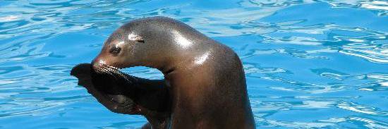 MKECountyZOO's profile banner image