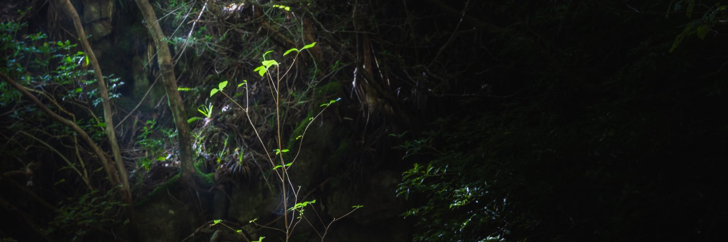 bdtopb_mx's profile banner image