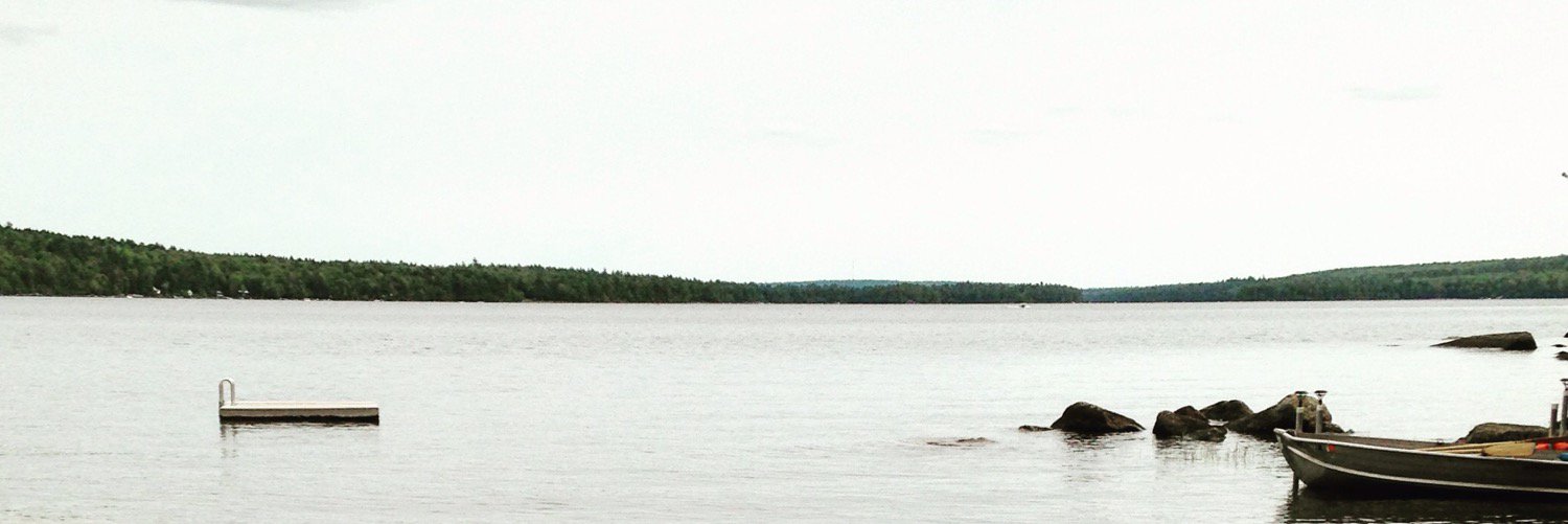 David Guildford banner