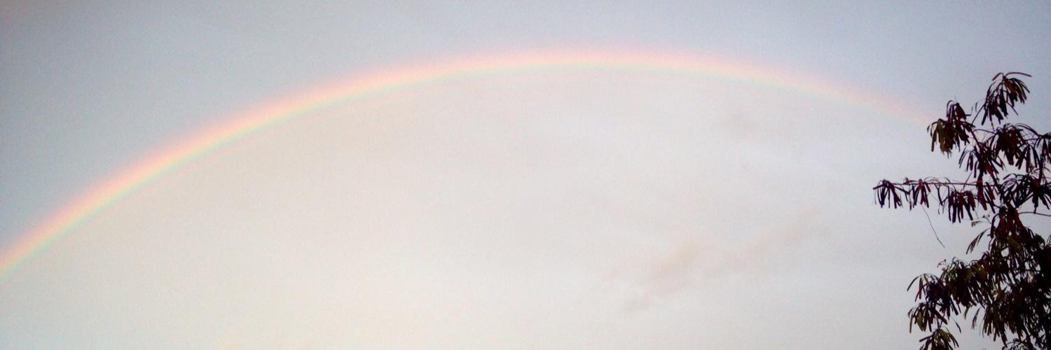 rizkapramut's profile banner image