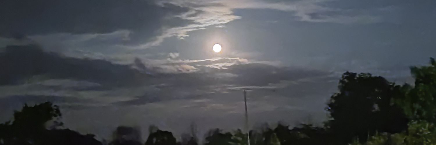 NovizarB's profile banner image