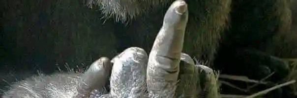 dewoyin's profile banner image