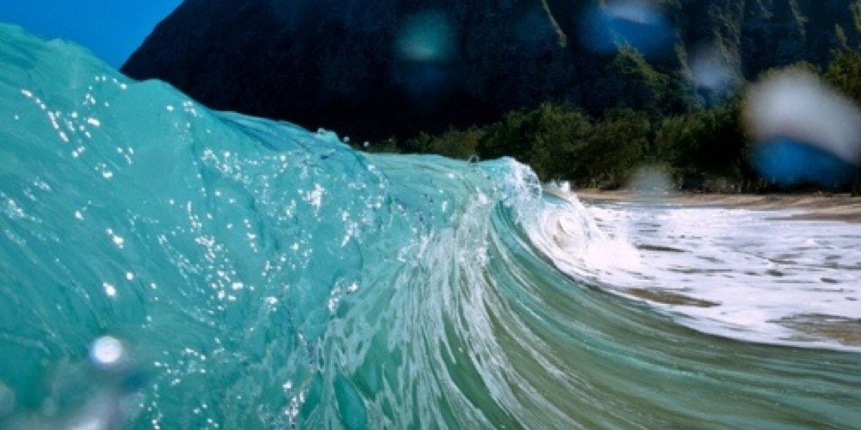 Terry Christensen banner