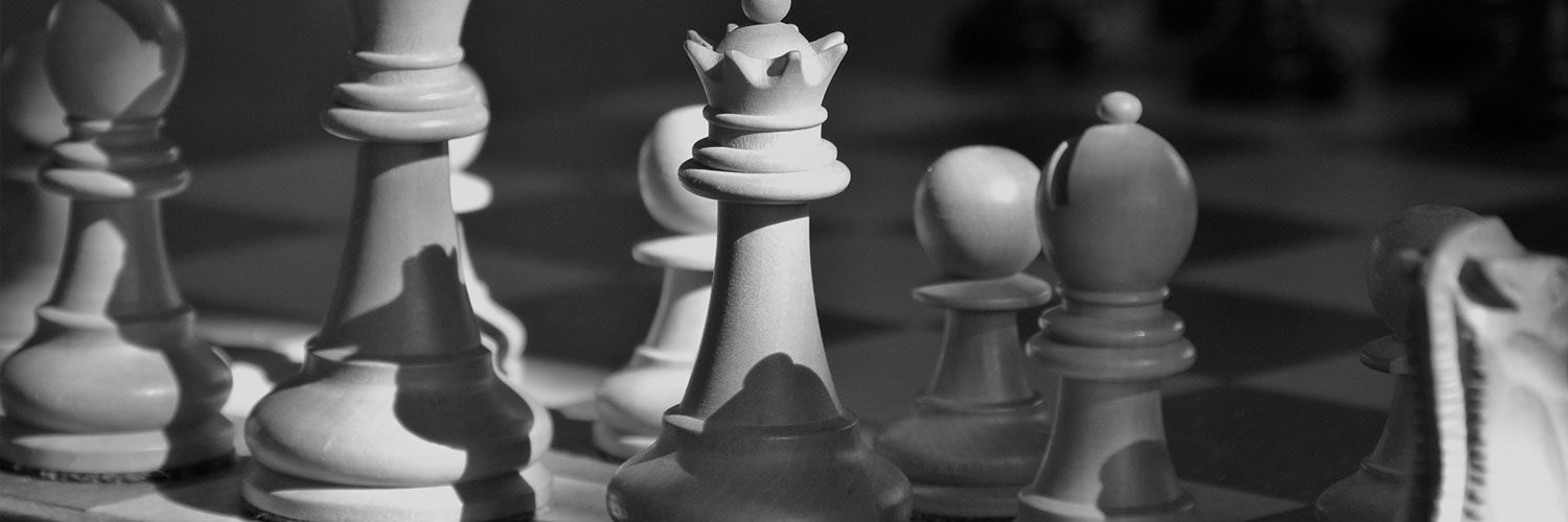 Mark Williams banner