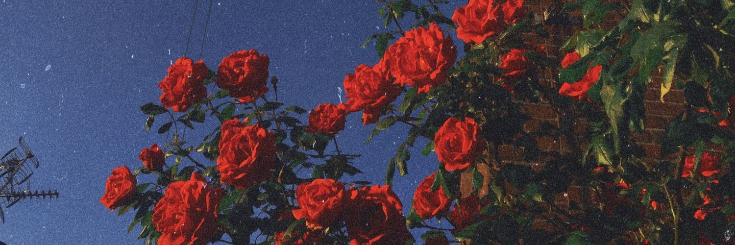 agustdearlyX's profile banner image