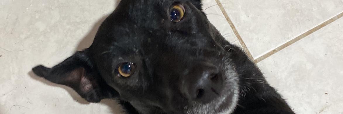anaclaraa0's profile banner image