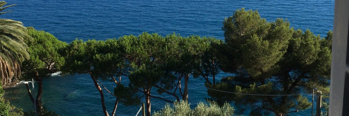 thierrytaze's profile banner image