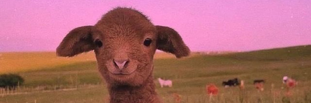 T_Weedyy's profile banner image