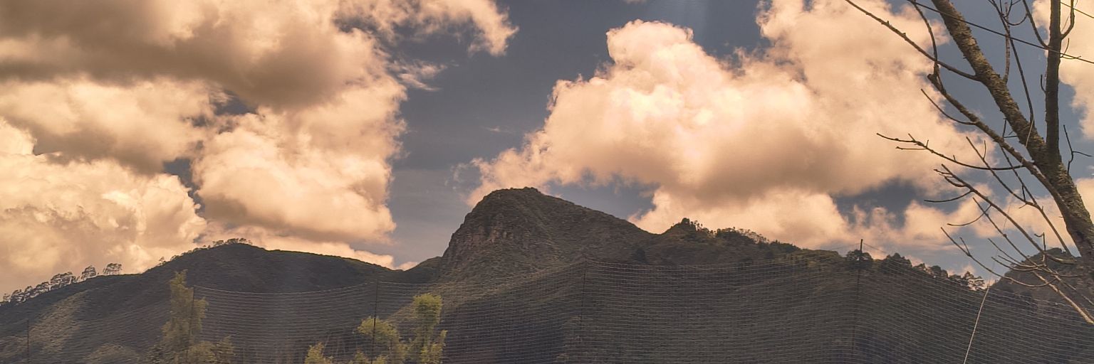 SMattLopez's profile banner image