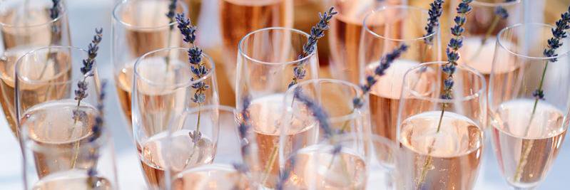 Gauche Caviar banner