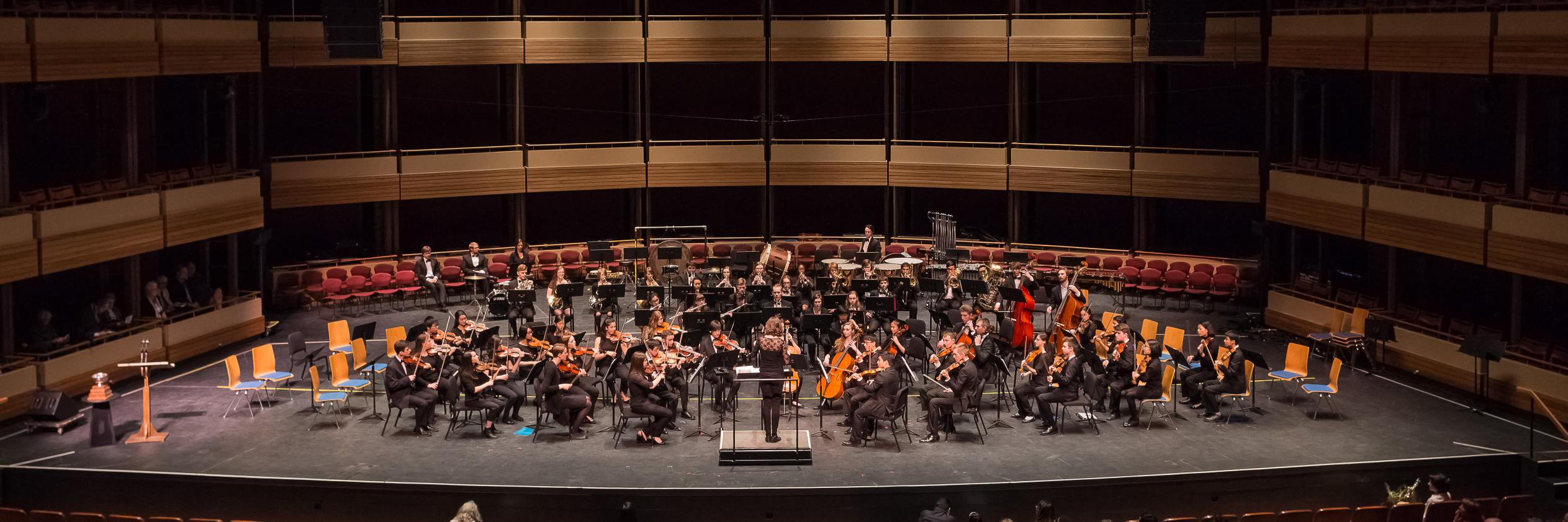 MarioMaster420 banner