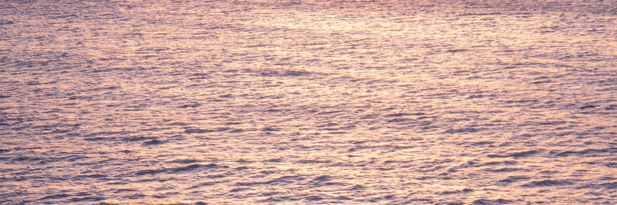 Sarah-Louise banner