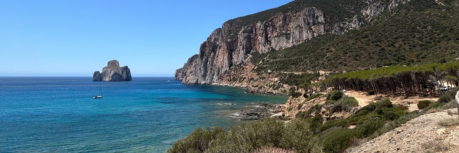 Dr Josh Wells (he/him) banner