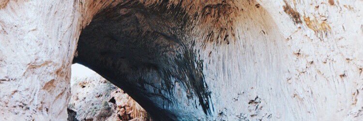 zonaocean's profile banner image