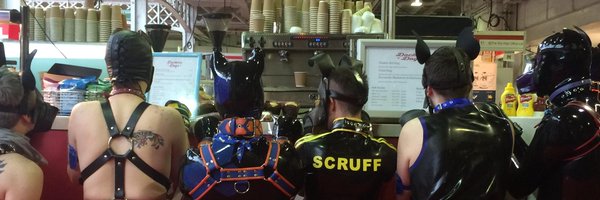 pupflint Profile Banner