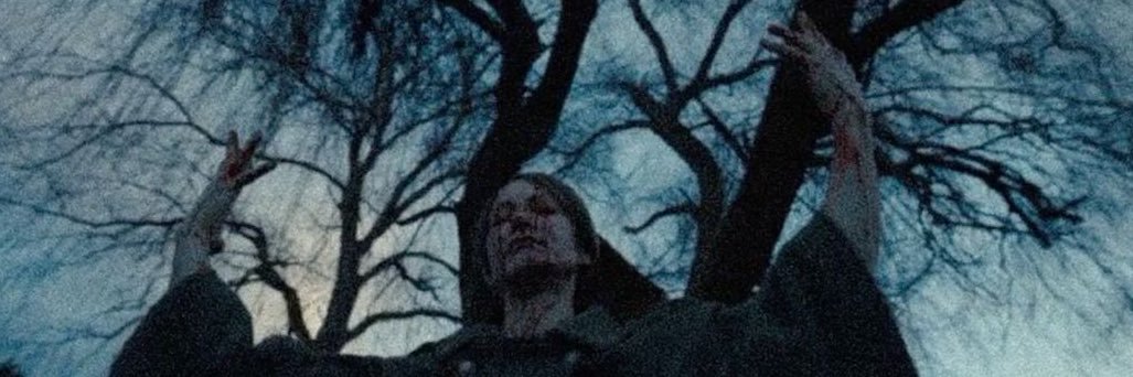 savavannah's profile banner image