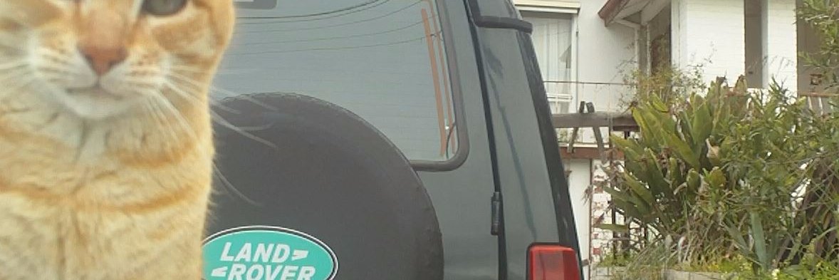 Derek Bell-Morris banner