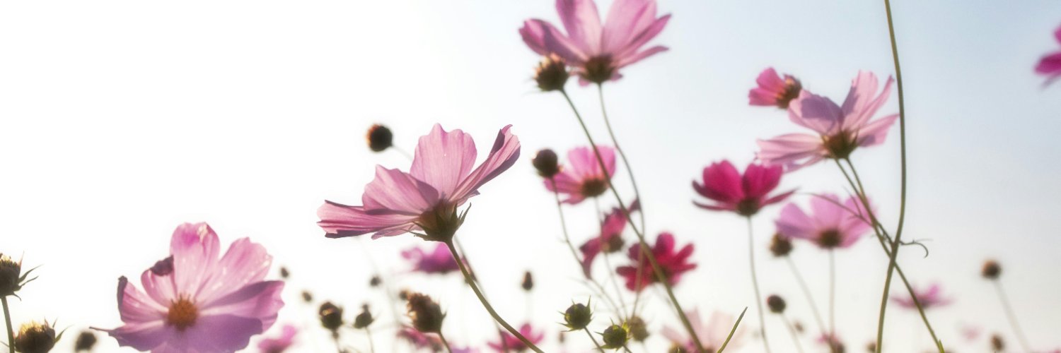 ella_walker786's profile banner image