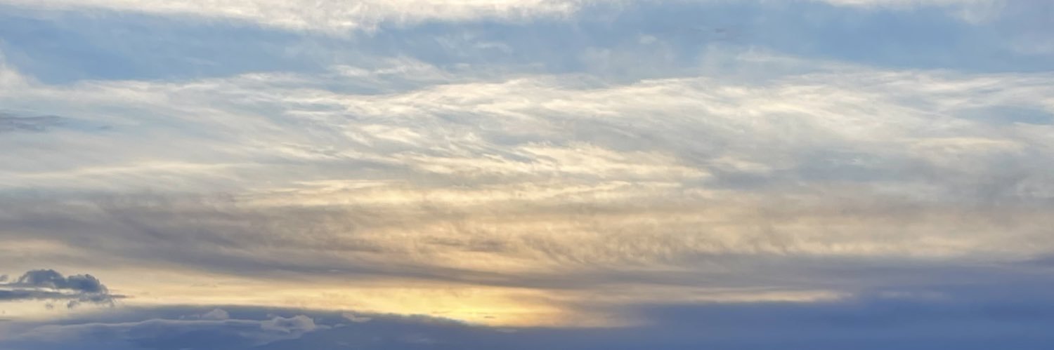 Aliciacarton_'s profile banner image