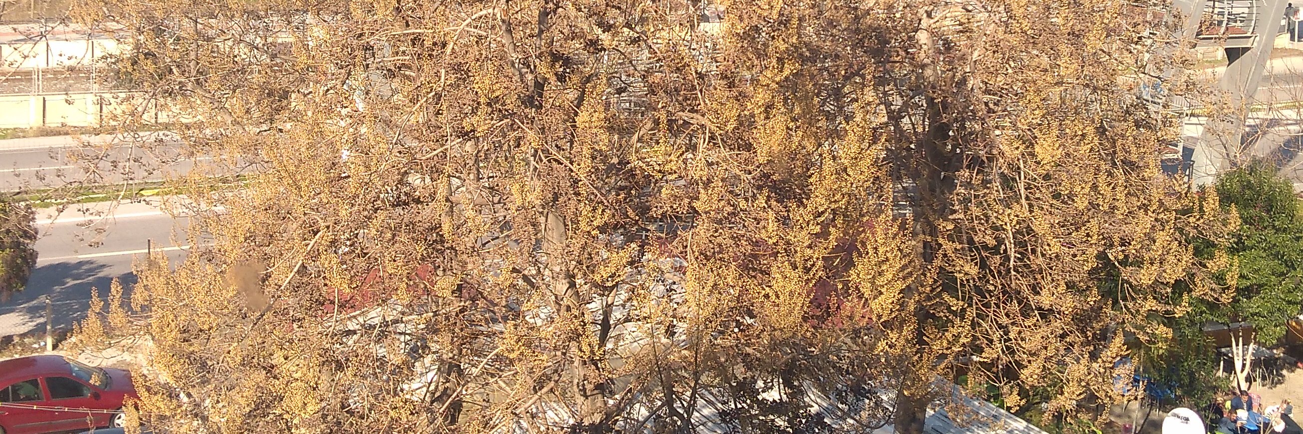 pnarakkn's profile banner image