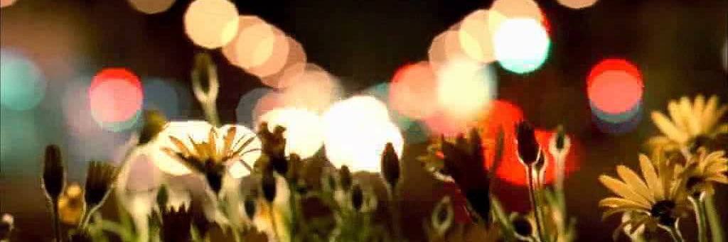 keysmccabe's profile banner image