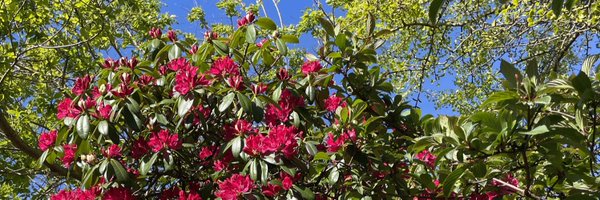 SLBotanicalInst Profile Banner