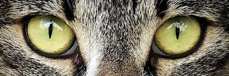 Defoulez 🎭 banner