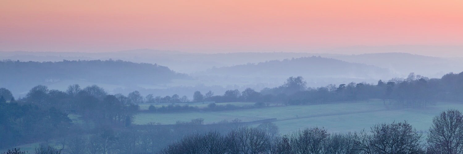 Andrew Barnes banner