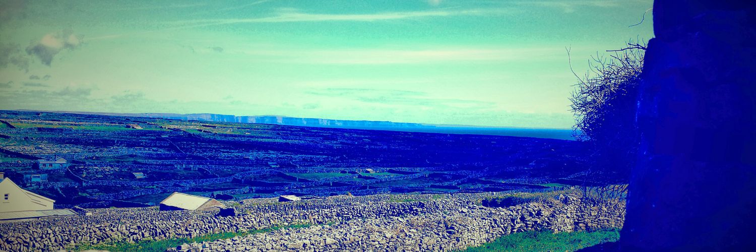 Michelle Merrigan banner