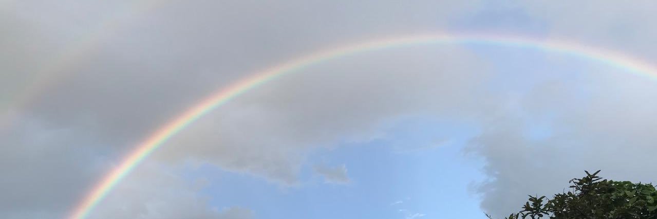 opstryagain's profile banner image