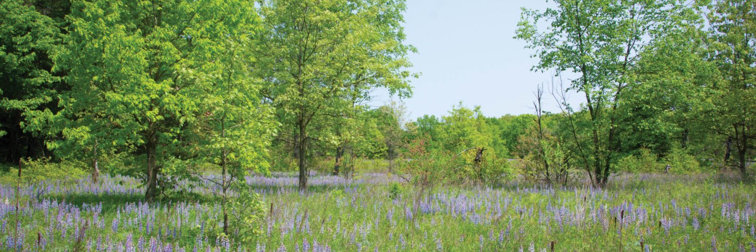 drhfarell's profile banner image
