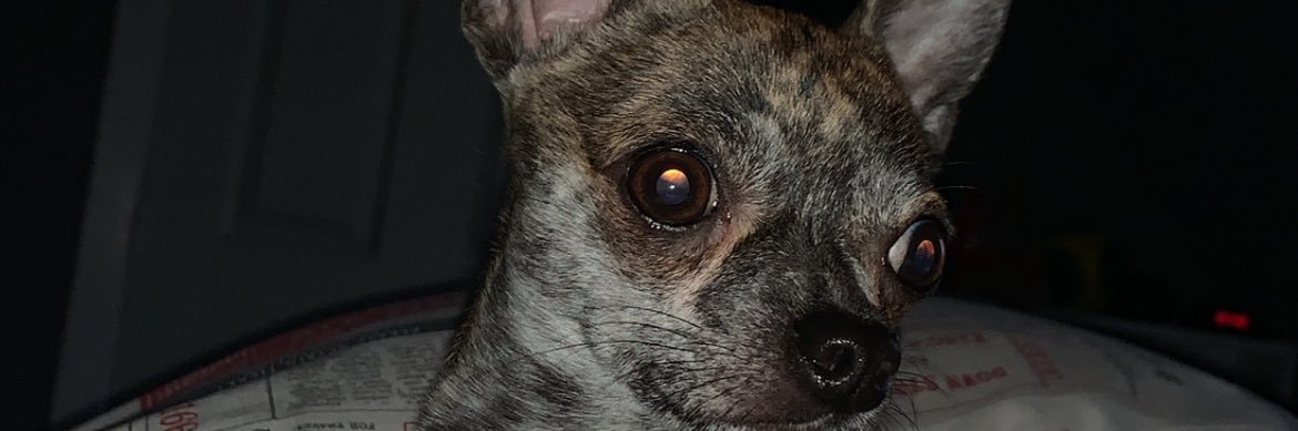 joyymurrayy_'s profile banner image