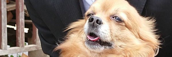 S_J00000 Profile Banner