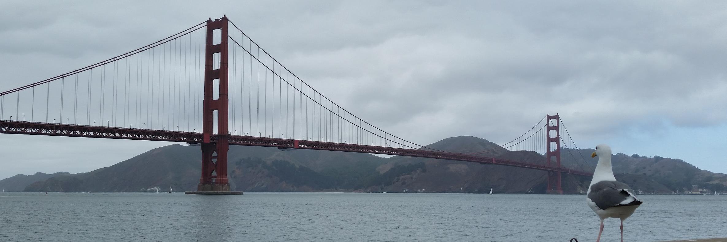 CBorders 🛡️ banner