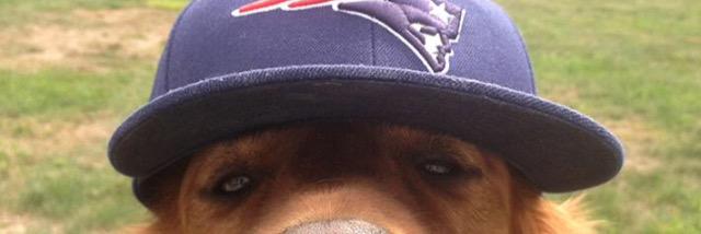 RealFatherGoose's profile banner image