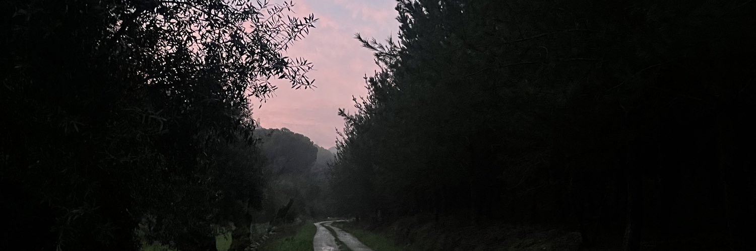 fernand0sp's profile banner image