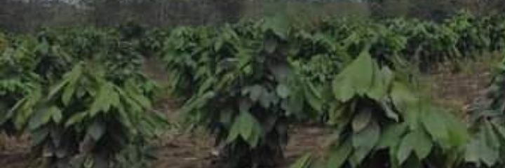 CleverthJimenez's profile banner image