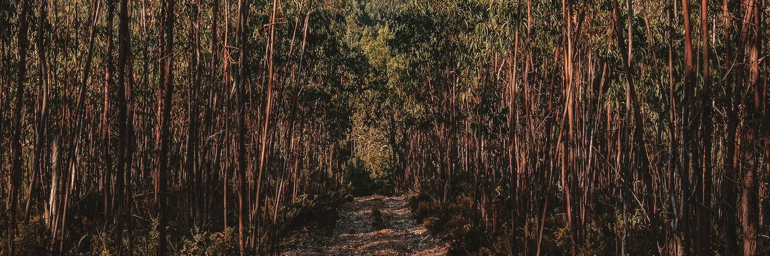 Joanap52's profile banner image