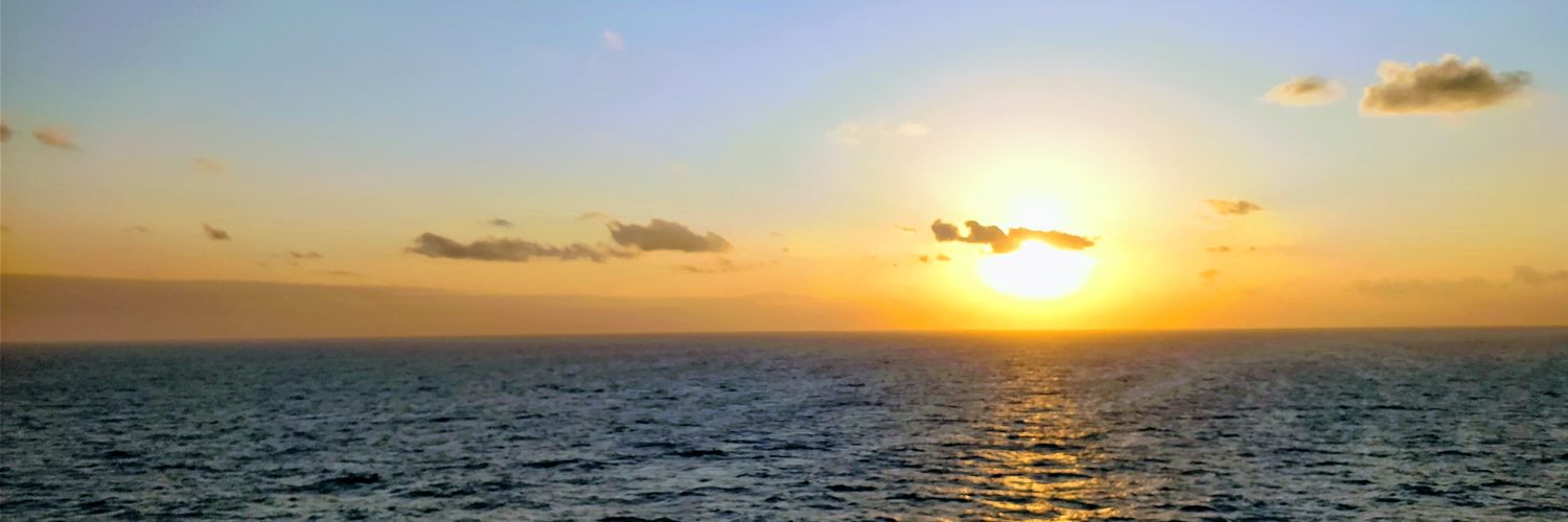 mellosmello's profile banner image