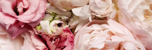 vava banner