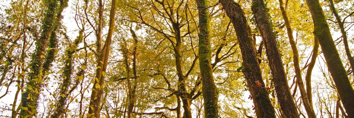 timkemp1's profile banner image