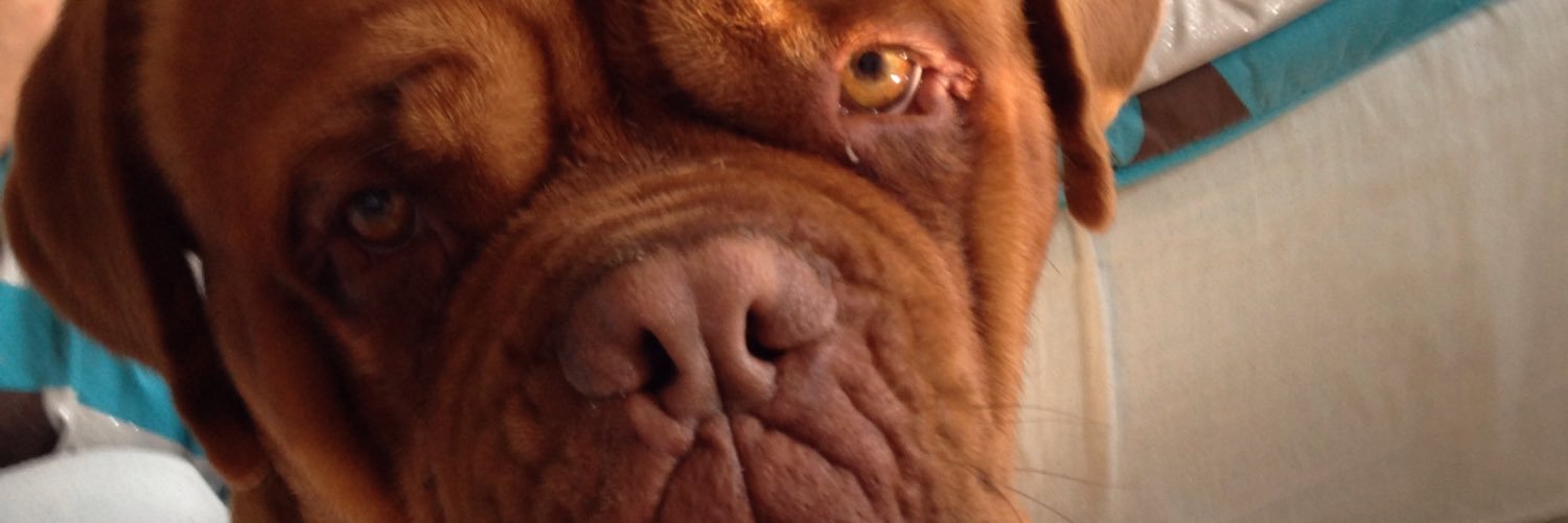 Azor1298's profile banner image