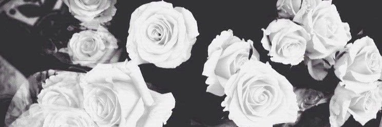 estefania_cch's profile banner image