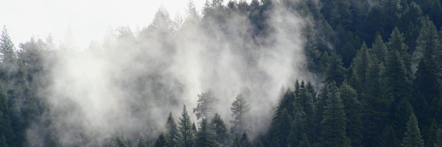 LornaSelley's profile banner image
