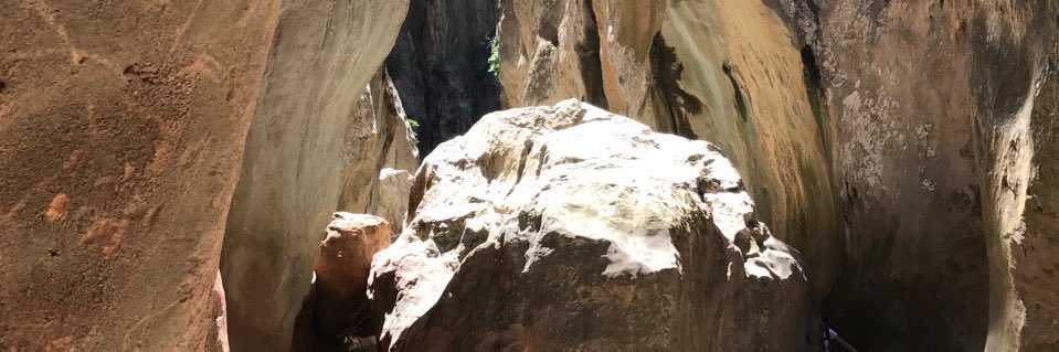PaulaPserra's profile banner image