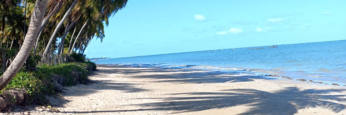 MoniFerloni's profile banner image