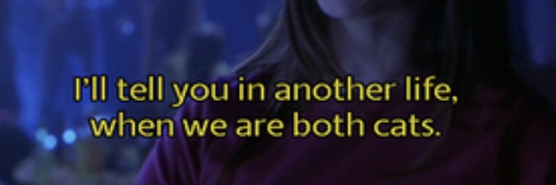 _fernandawho_'s profile banner image