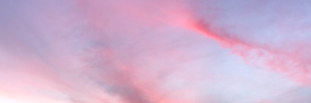 Marie Marsh Bailey banner